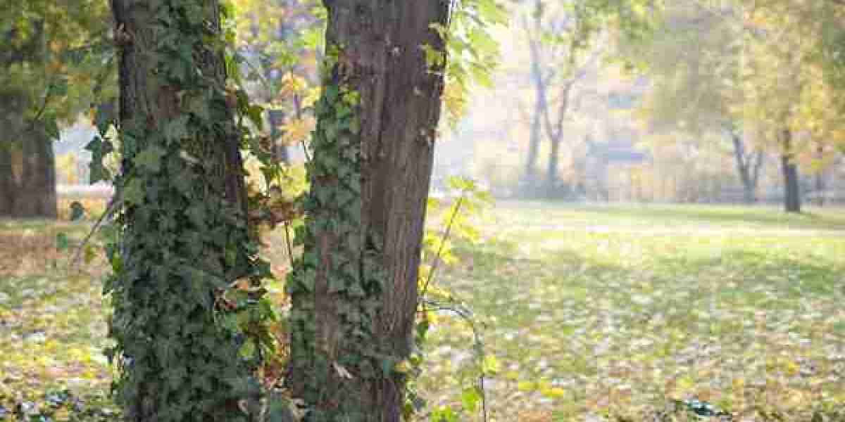 Sth-Slang: Bedeutung und Beispiele