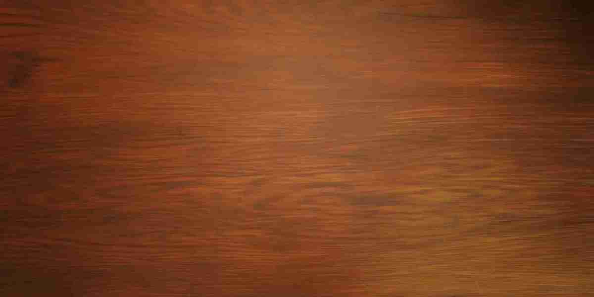 Observations on the Dynamics of Private Airline Companies