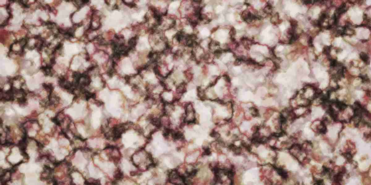 Inexpensive Private Jets Charter Company: Revolutionizing Air Travel