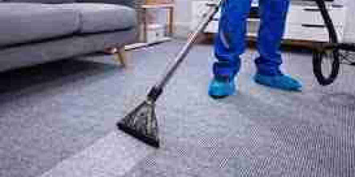 Carpet Cleaning Services That Support a Cleaner Lifestyle