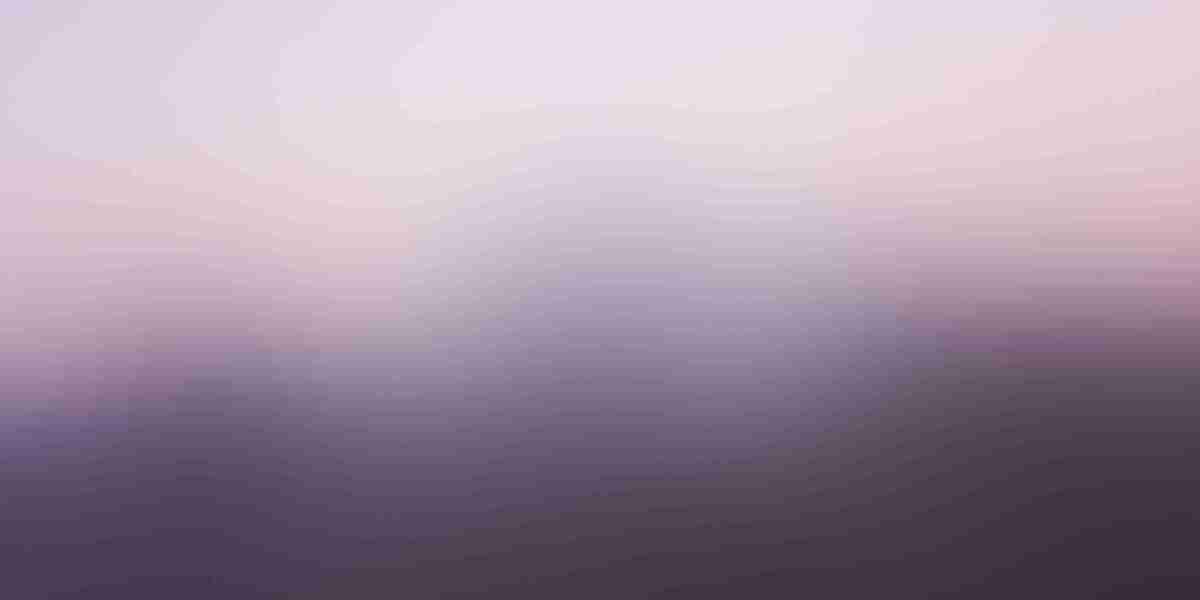 Observational Insights into Private Jet Charter International Travel