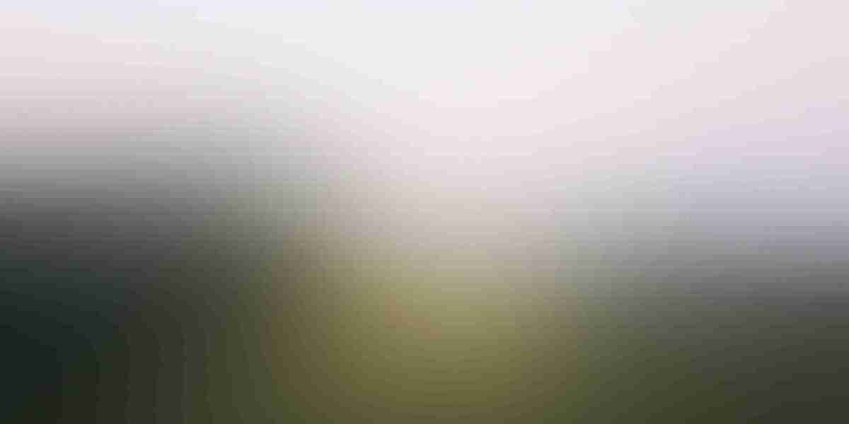 Understanding IRA Gold Investment: A Complete Information