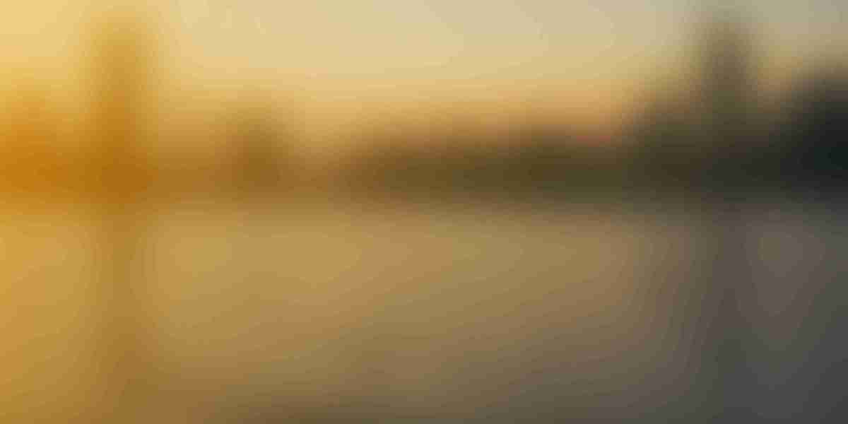 The Best Company to Rollover IRA To Gold: A Complete Guide