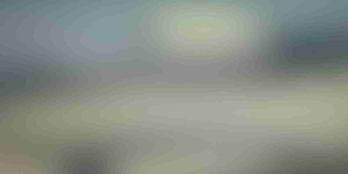 The Four Seasons Plane: A Theoretical Exploration of Seasonal Dynamics