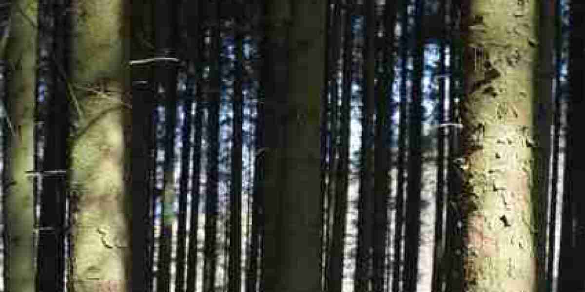 Join Now & Claim Your Bonus!