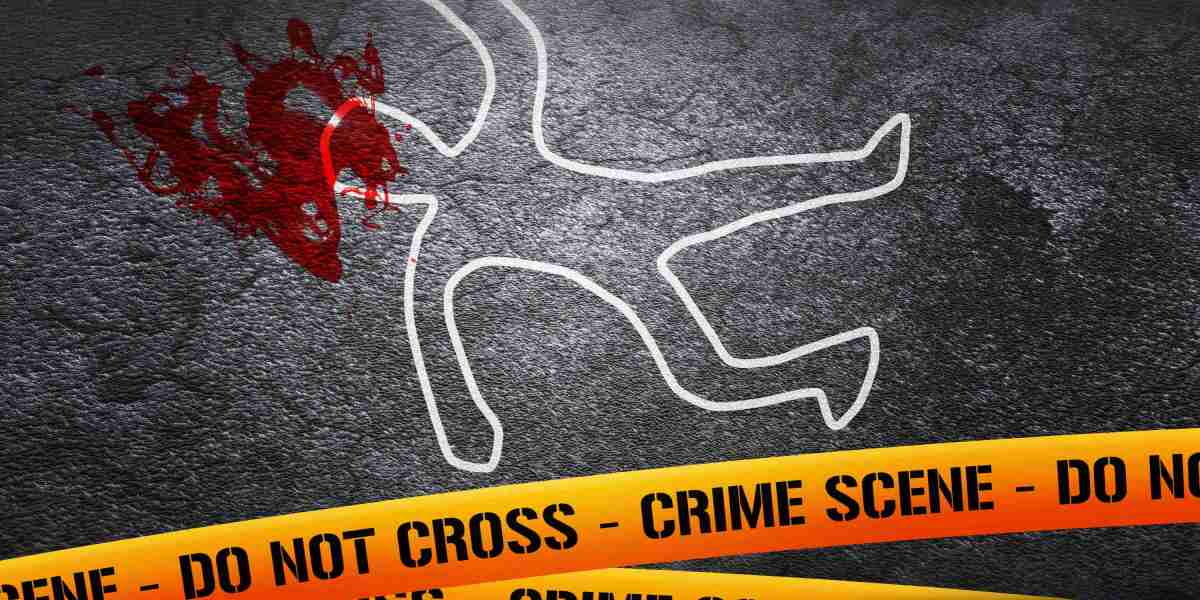 A Complete Research Report on Sugar Daddy Websites in The USA