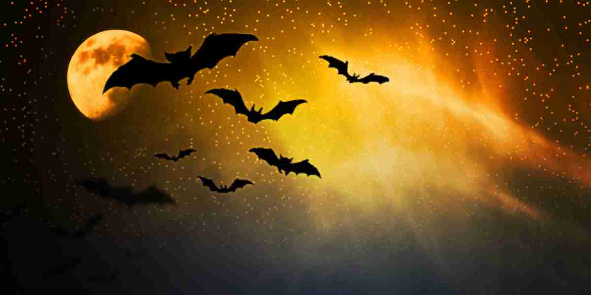 Sugar Daddy Websites in Bangalore: An Outline