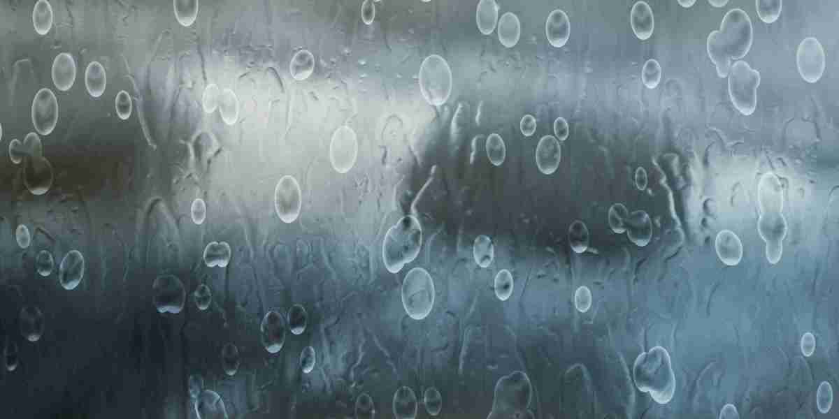 Exploring the Dynamics of Sugar Daddy Websites in Austin