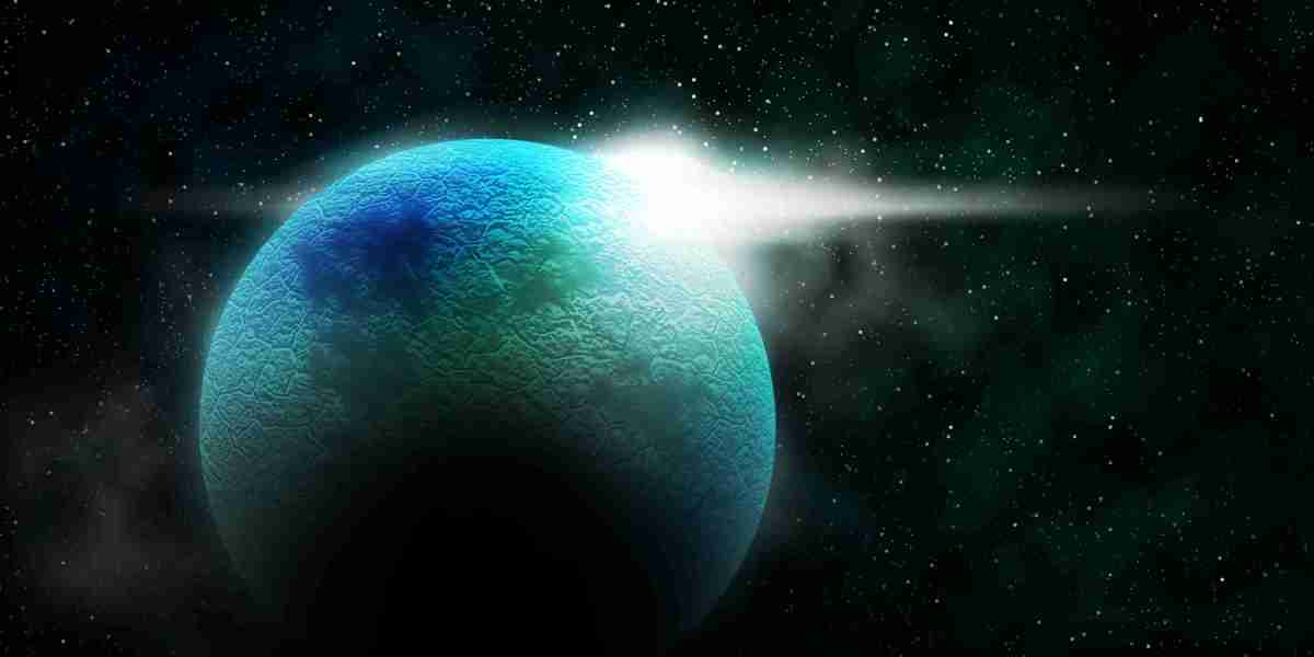 Top 10 Private Jet Charter Companies: A Comprehensive Case Study