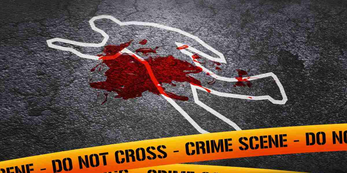 Investing in Gold IRA: A Complete Guide To Safe Your Future