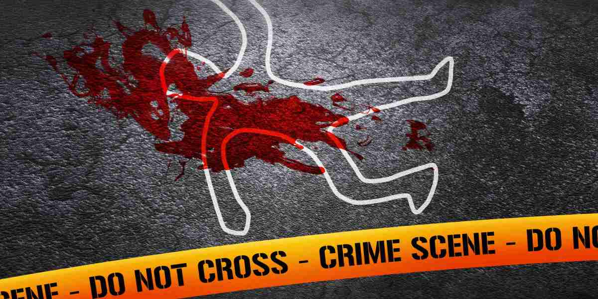 The Rise of Private Jet Flights: A Case Examine on Luxury And Effectivity