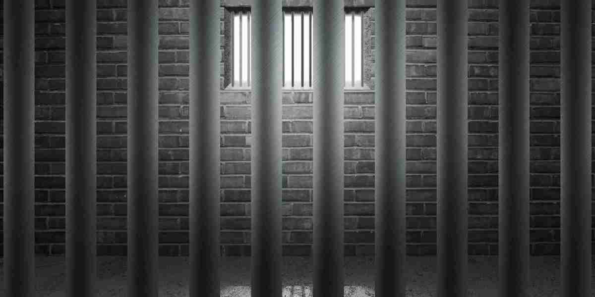 The Best Sugar Daddy Websites: A Complete Case Examine