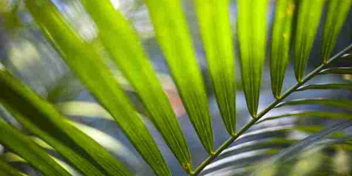 Newsroom Boyd Gaming Press Releases