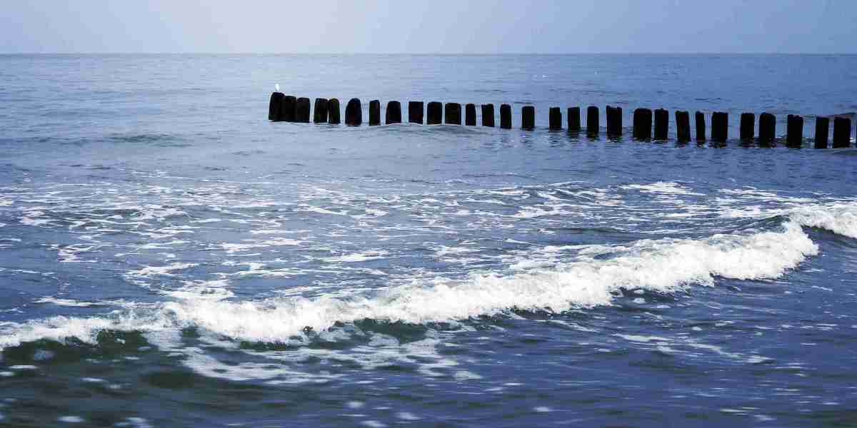 Exploring Sugar Daddy Website Ratings: A Complete Case Examine