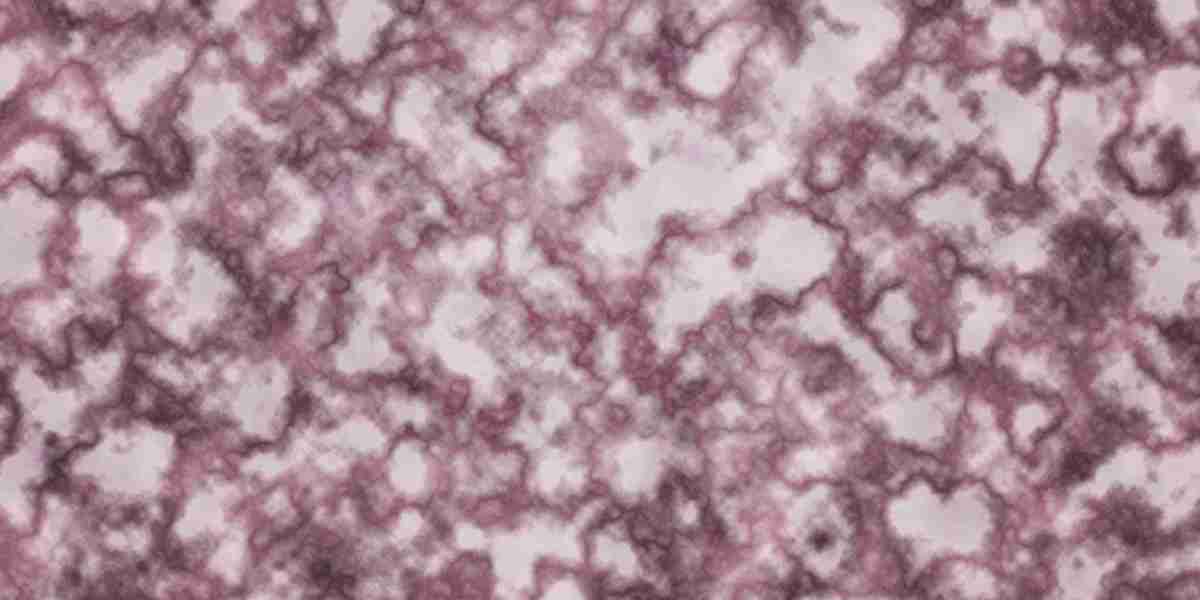 Exploring the Rise of Sugar Daddy Websites in New Zealand: A Brand new Era Of On-line Relationships