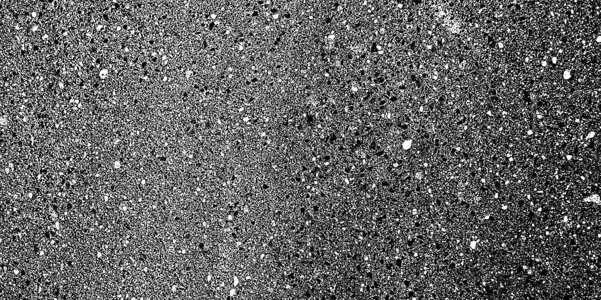 Exploring Affordable Private Jet Rentals: A Complete Information