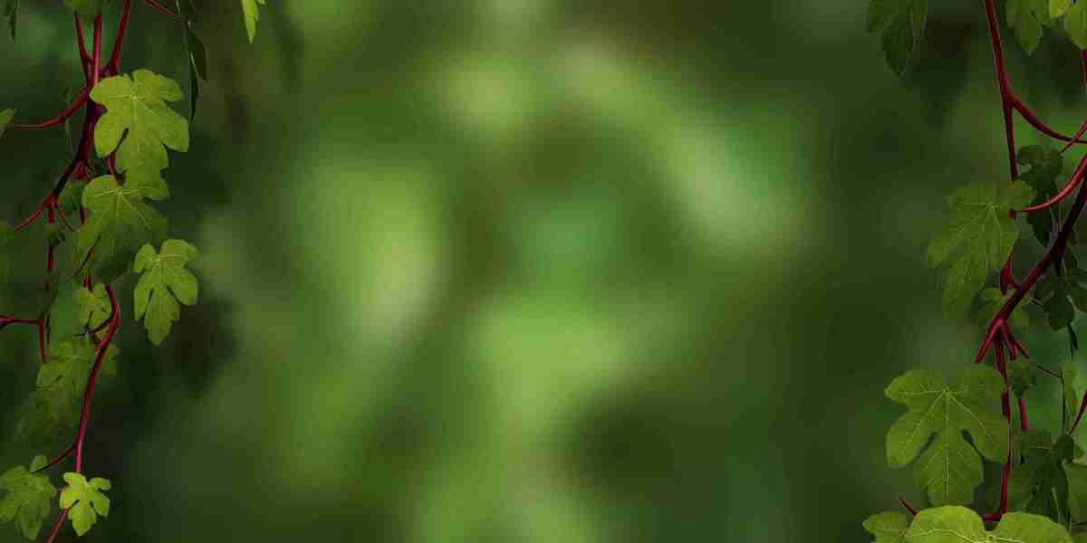 The Golden Quest: Discovering the Perfect Places To Buy Gold