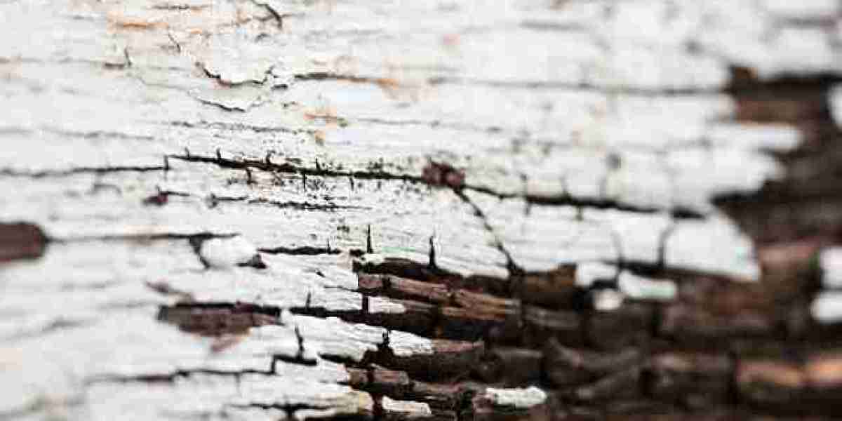 Ozwin Casino ᐉ Complete Ozwin Casino Login & Get 400% Bonus