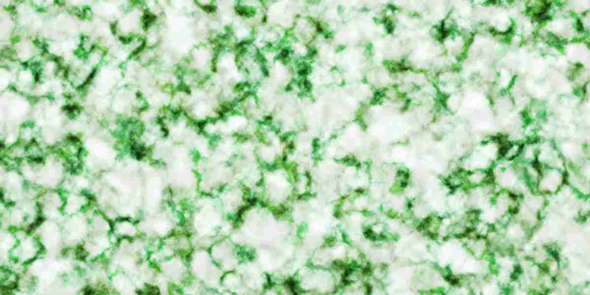 Modafinil On-line In Europe: A Complete Research Report