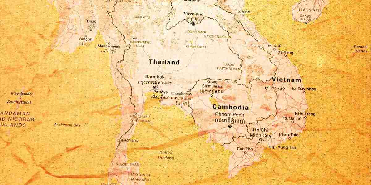 Case Research: Ordering Modafinil On-line in the UK