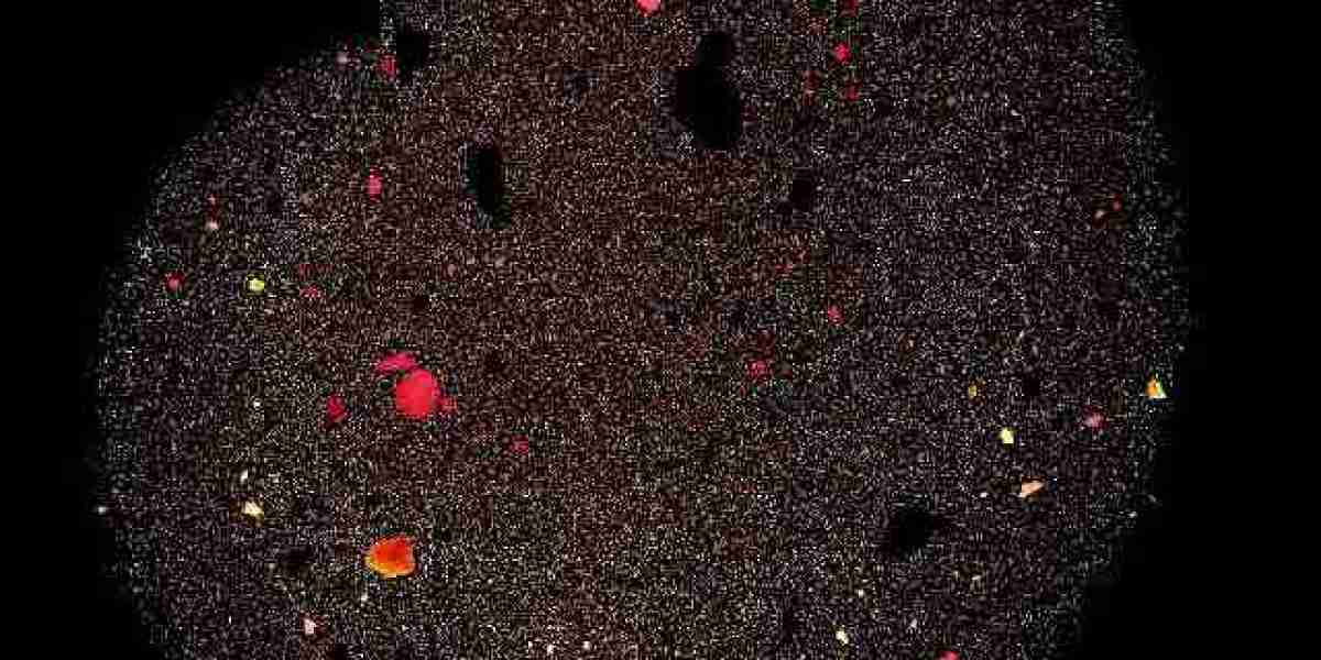 $1000 Welcome Bonus Instant Payouts