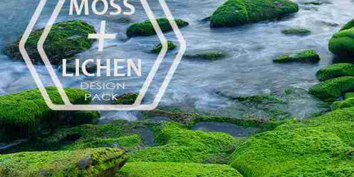 ‎Casino Royale 2006 directed by Martin Campbell Reviews, film + cast