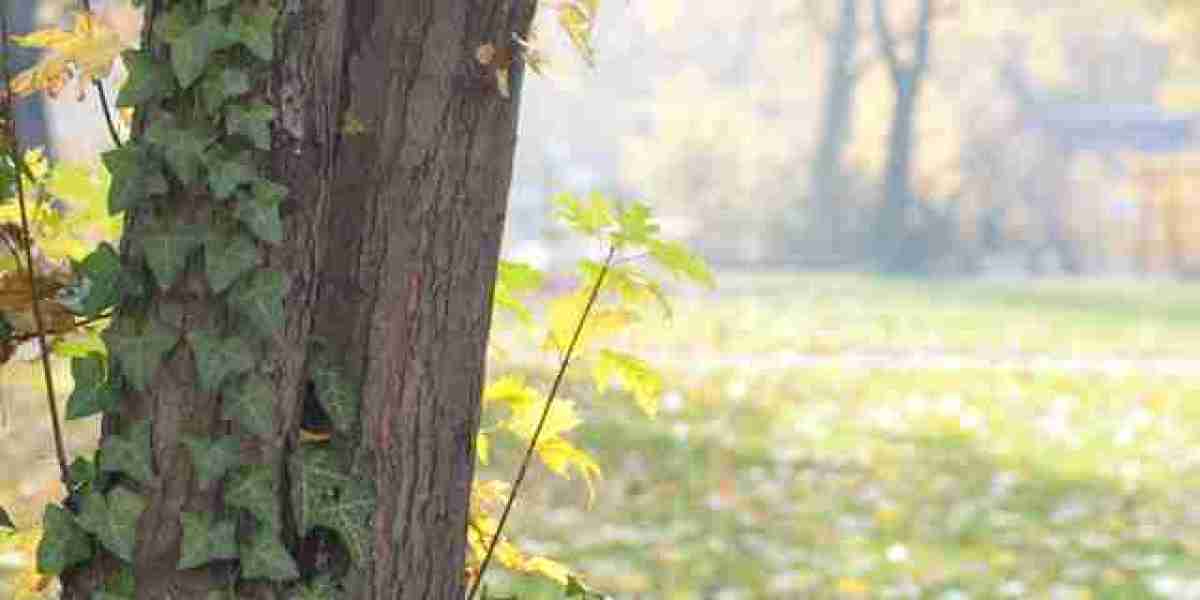 Keno Lounge in Las Vegas