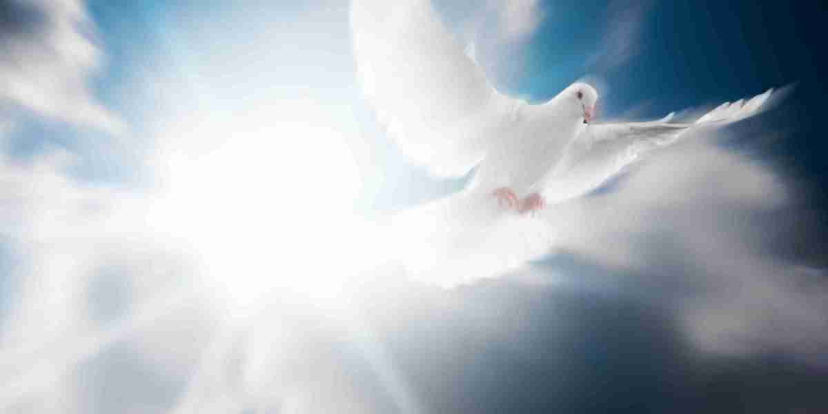 The Rise of Sugar Daddy Online Dating: A new Period Of Relationships