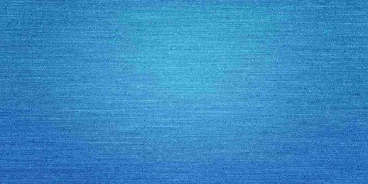 The Rise Of SkyElite: The World's Largest Private Jet Charter Company