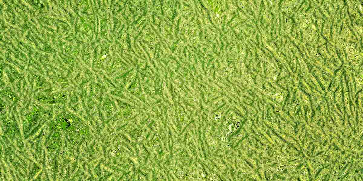 Exploring the World: The Benefits and Insights Of Private Jet Charter International Travel