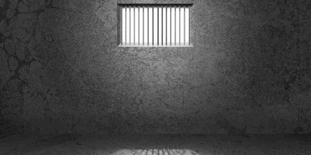 Understanding Gold IRA Investment Companies: A Comprehensive Information