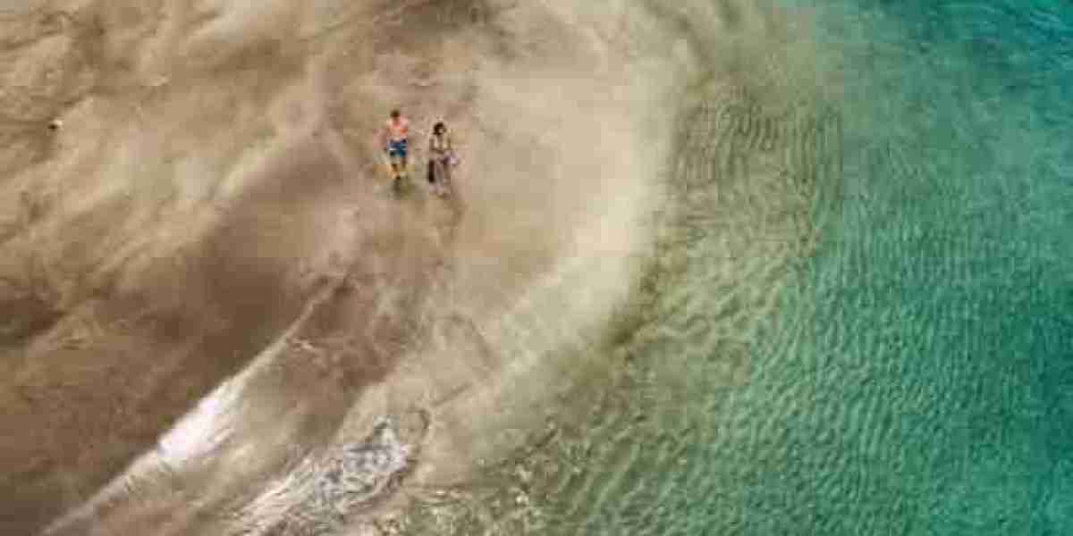 Workforce Management (WFM) - Accountability, Passion & Care