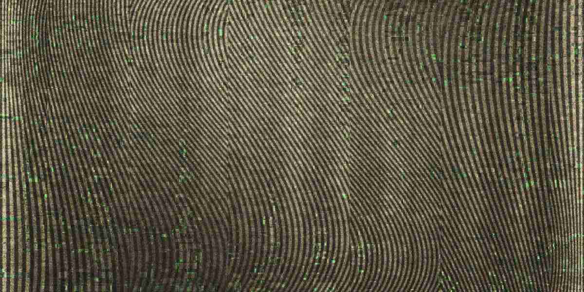 Investing in Gold: A Complete Guide To Buying Gold Coins Online