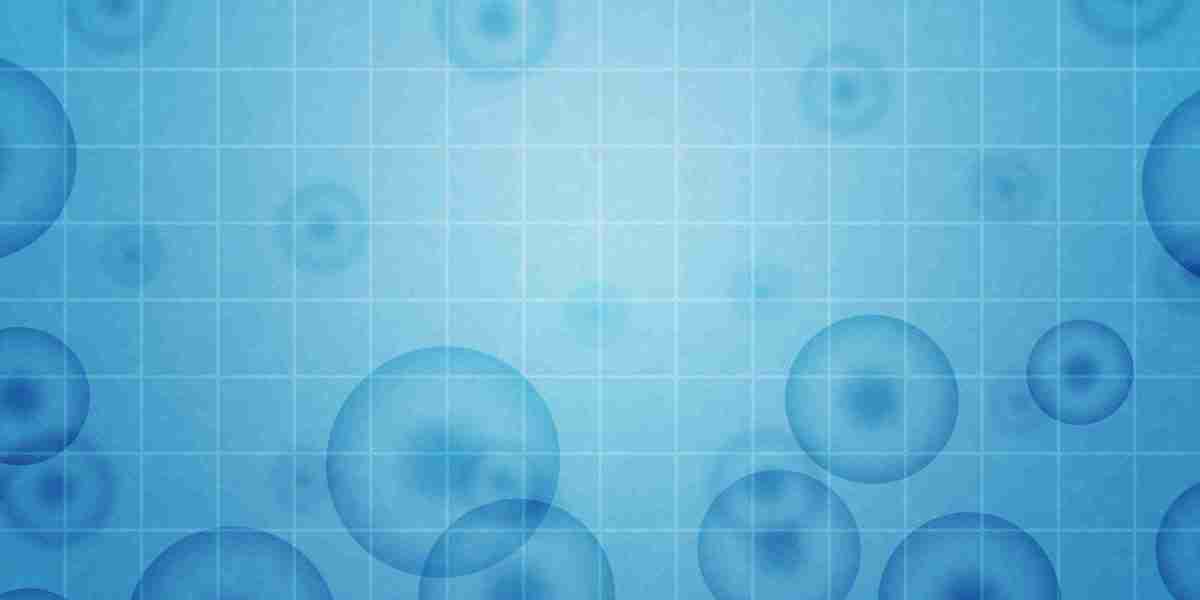 The Future of Gold Coin Investment: Innovations and Opportunities