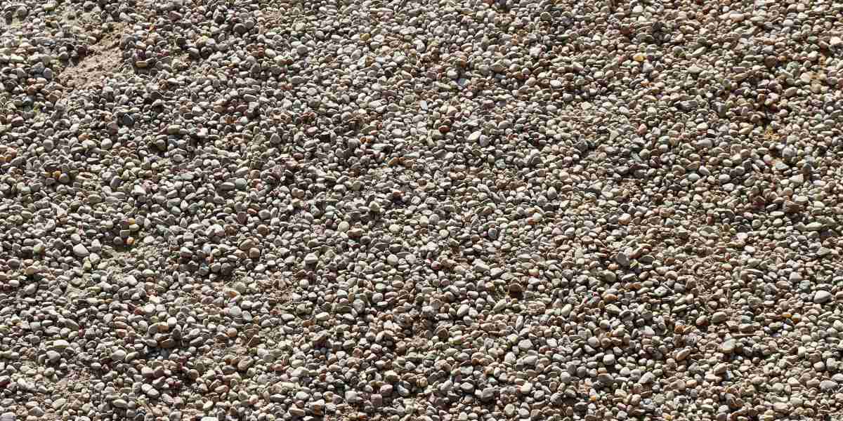 Private Jet Booking: A Comprehensive Study on Developments, Processes, And Market Dynamics