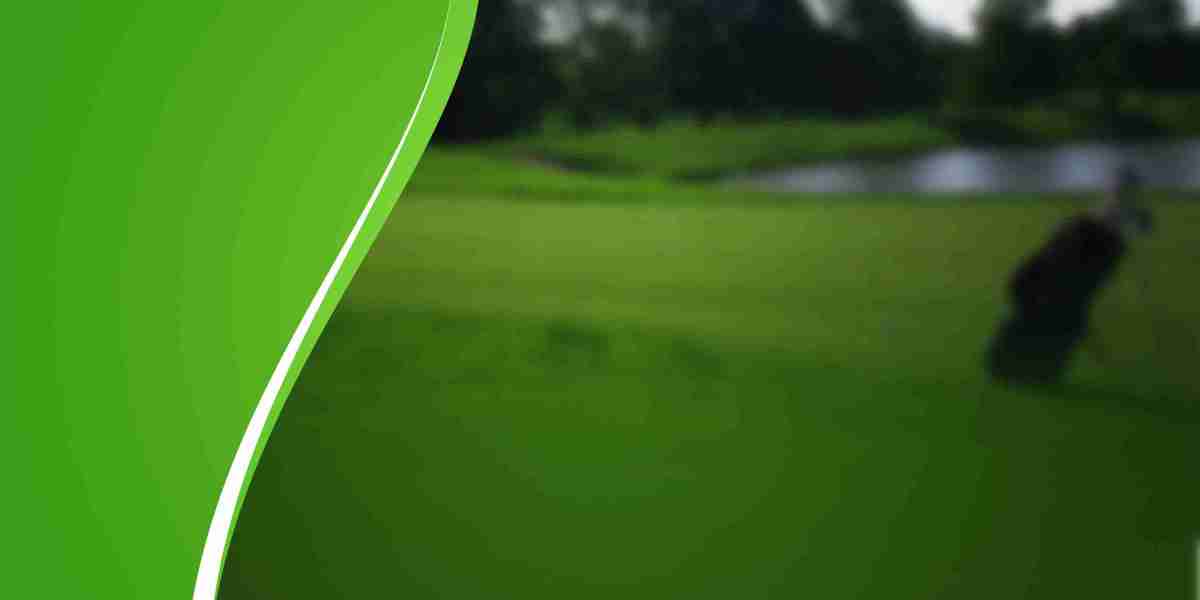 Sugar Daddy Websites in America: An Overview