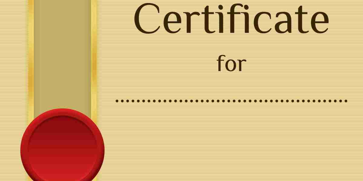 Revolutionizing Luxury Travel: The Way Forward For Private Jet Charter Companies