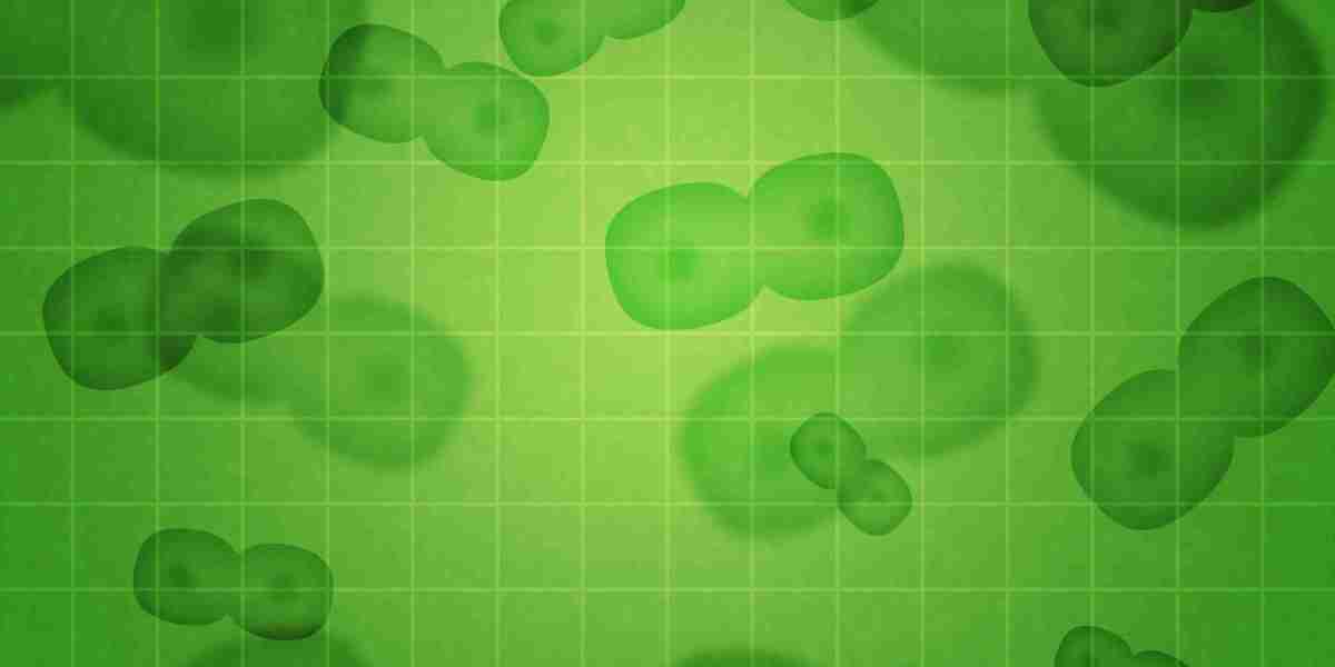 Exploring the Perfect Places to Obtain Modafinil: A Comprehensive Guide