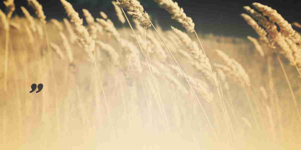 A Comprehensive Examine on Sugar Daddy Sites In Canada