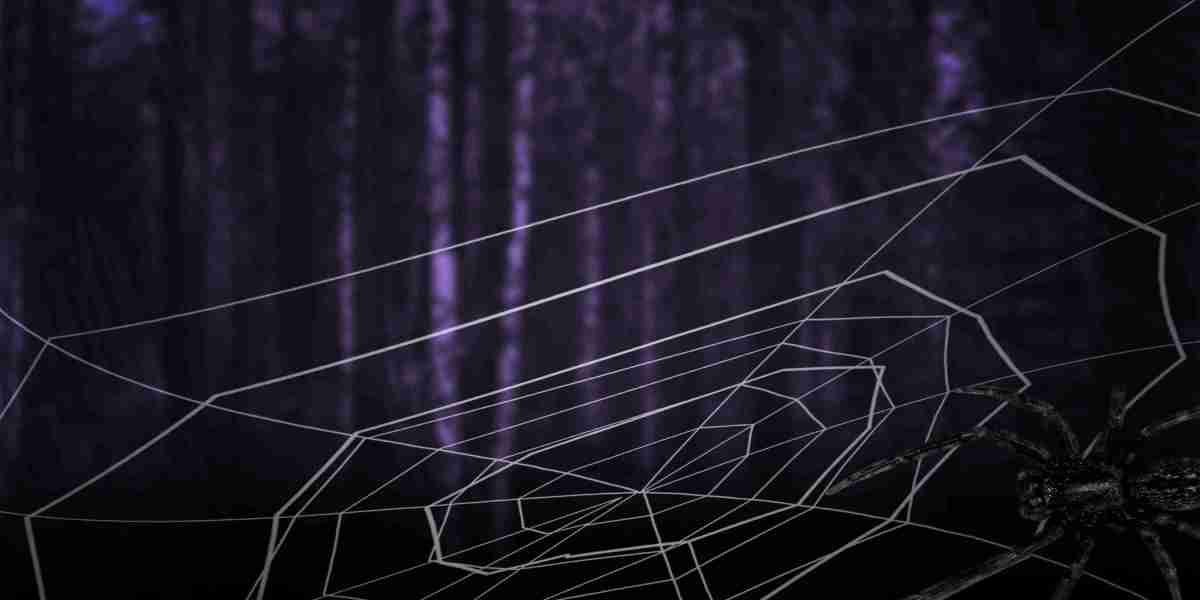 Exploring Private Jet Charter Options Near You