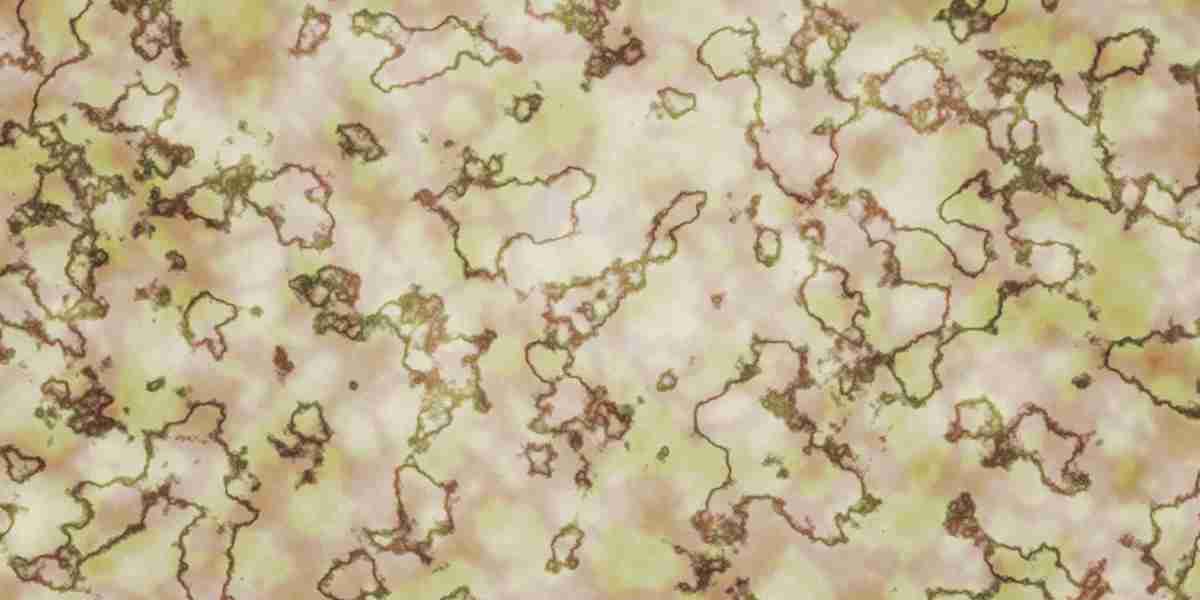 How To Buy Gold Coins Safely: A Complete Guide