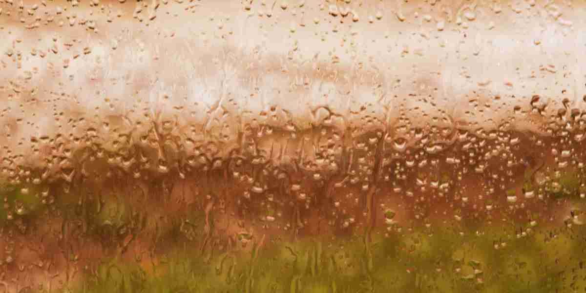 The Rise Of Sugar Daddy Online Dating Websites: A Case Research