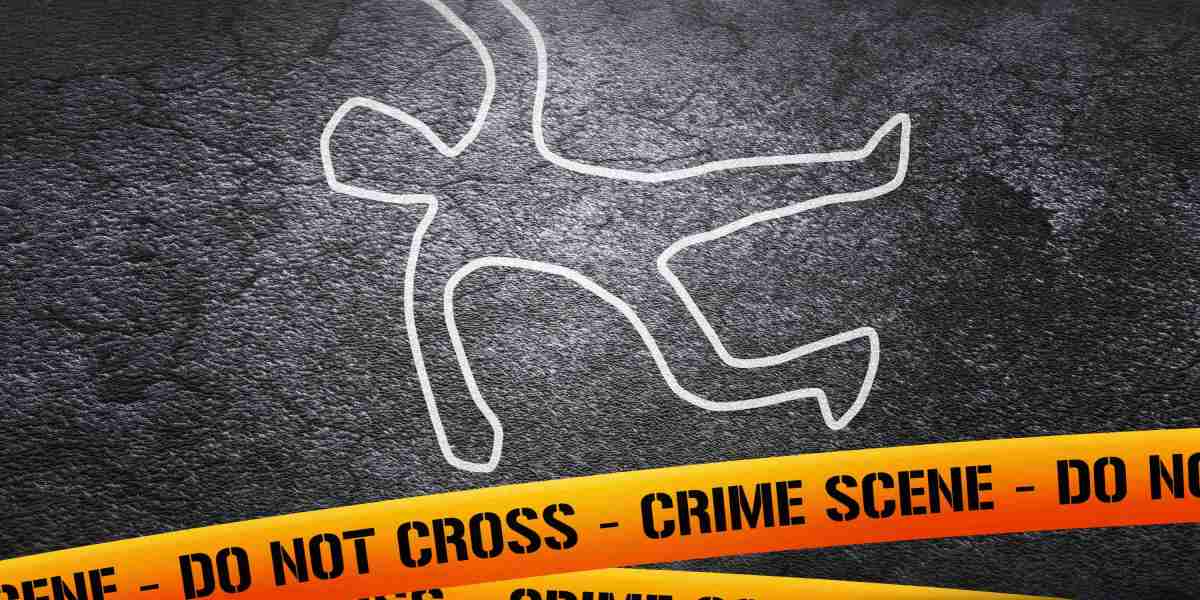 Understanding Gold IRA 401(k): A Comprehensive Guide to Precious Metal Retirement Accounts