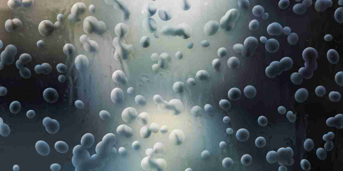 Best IRA Gold Companies: A Comprehensive Study