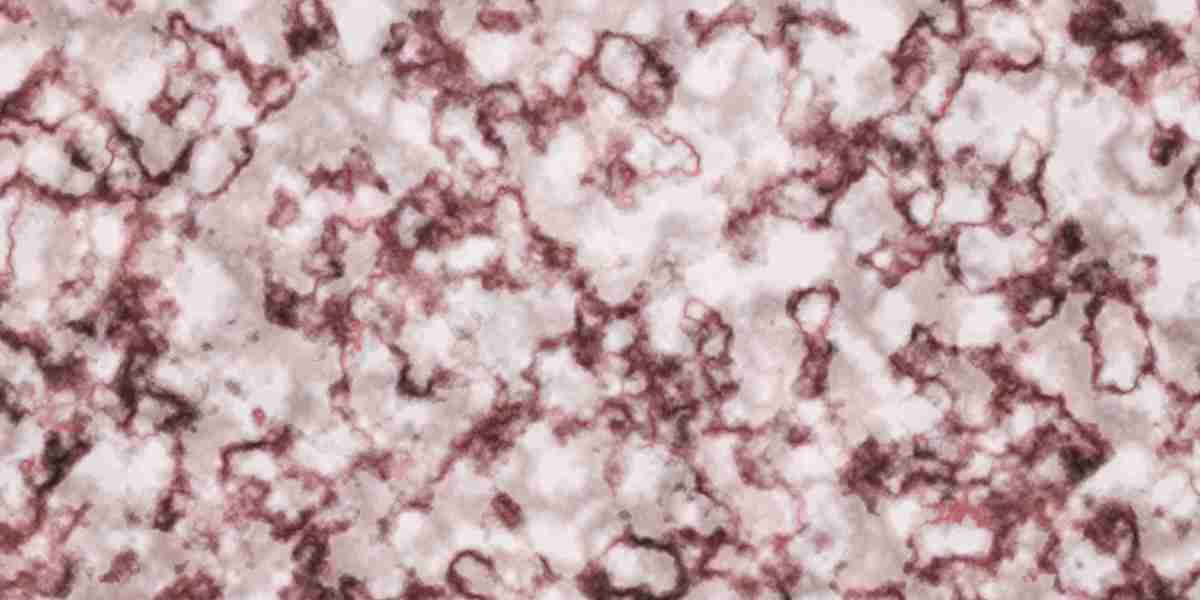 Understanding Private Jet Charter Flights: A Complete Guide