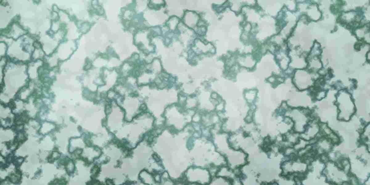 Understanding the Benefits and Considerations of Owning Gold in an IRA